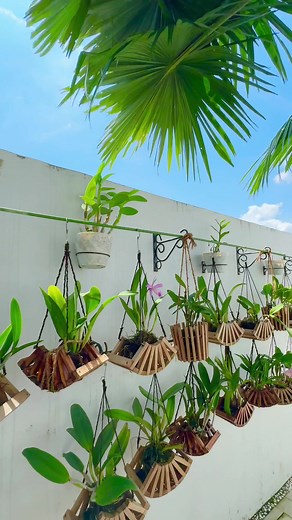 Exploring the Beauty of Orchids in Anggrek Garden