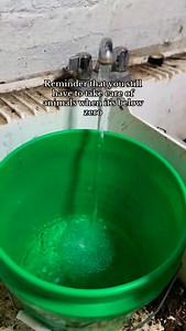 42K views · 15K reactions | Chickens are great but it’s all fun and games until they need new water twice a day in -10 degrees #backyardchickens #hobbyfarm #homestead #urbanhomestead #selfsufficient #selfsufficiency #farmlife | Barefoot.mimosas | Facebook