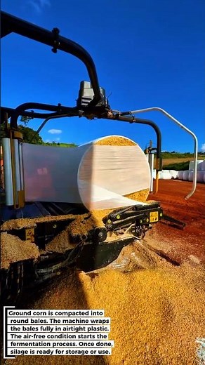 WOW! Super Practical Corn Mash Wrapping Process for Livestock Feed