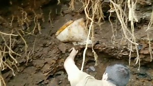 6.8K views · 583 reactions | Digging beneath an old Toilet for Antique Treasures! #antique #treasure #history | Adventure Archaeology And Southern Diggers | Facebook