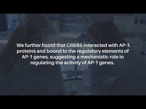 CREB5 and Prostate Cancer: Unlocking Stem Cell-Like Tumor Growth | Oncotarget