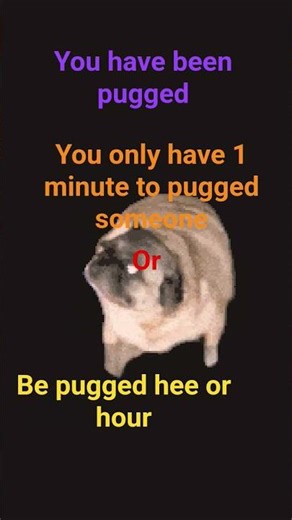 hehehehehehehe #funny #memes