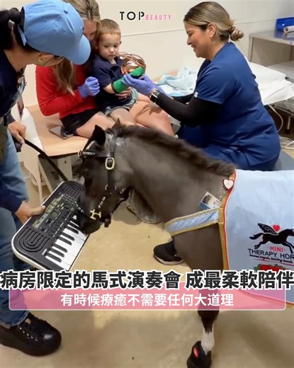 🐴當治療室響起琴聲，主角竟然是一匹迷你馬 有時候療癒不需要任何大道理，一匹亂彈琴的小馬，已經足夠🐎💕來自美國加州的非營利組織 Mini Therapy Horses，把一群迷你馬訓練成走入醫院、校園與退伍軍人之家的情緒急救員🏥✨在醫療現場裡，真正能讓孩子放下緊張的，往往不是冰冷的器械，而是一種可被信任的陪伴感。🐴💛 當這匹迷你馬站在電子琴前，用嘴巴按下琴鍵，聲音輕巧卻穩定。當孩子準備打石膏時，注意力自然被吸引，呼吸漸漸放慢，肌肉不再那麼僵硬。這正是動物輔助治療的核心機制：透過動物的存在與互動，降低焦慮、分散疼痛知覺，並促進安全感的建立。🎹✨ | TopBeauty HK