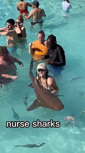 We just did the ULTIMATE Exuma Islands adventure! 🏝️ This 10-hour tour with Shore Thing Escapes included swimming with nurse sharks, feeding endangered iguanas, snorkeling Pablo Escobar's sunken drug plane, meeting the famous swimming pigs, exploring private islands, and SO much more! 🦈🐷 If you're visiting the Bahamas, this is an absolute MUST. Watch the full epic adventure on YouTube (link in bio)! #ExumaIslands #Bahamas #ShoreThingEscapes #BucketList #familytravels | Growing Up Without Bord