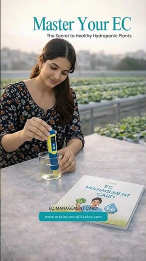 EC Management in Hydroponics 🌿 | Grow Healthier Plants