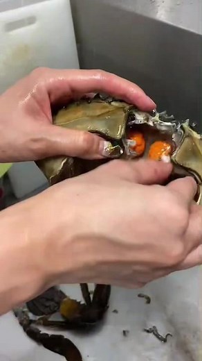 How to Prepare Live Crab for Delicious Seafood Dishes