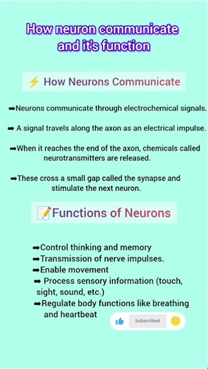 neuron communication#education#science