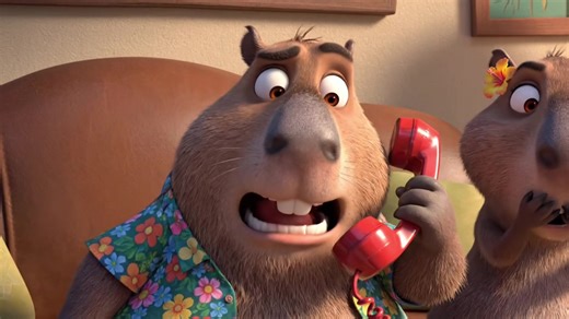 NOOOO😥#Costeño #capibara #macho