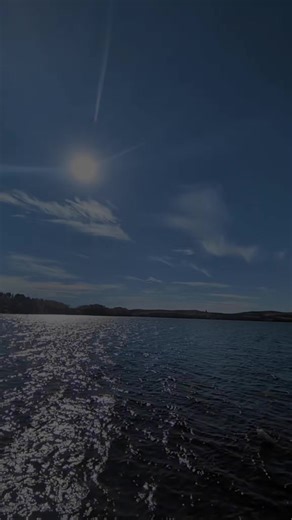 The Strength of Rest: Lessons from Butterflies