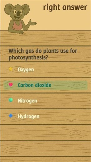 Play with Koaleyla 🐨, laugh 😂, solve puzzles 🧩
