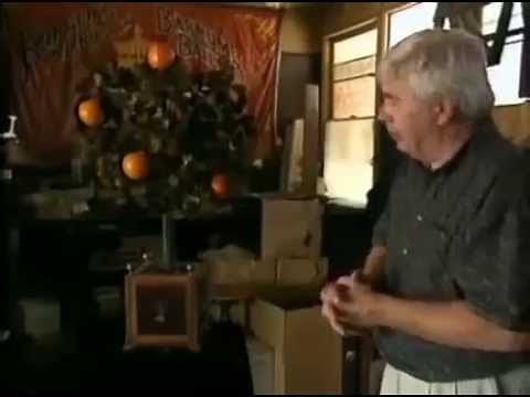 The Magic Orange Tree