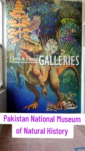 The Pakistan Museum of Natural History is located in Islamabad and offers a vast collection of natural history exhibits, showcasing the country's rich biodiversity, geology, and paleontology. Here are some key details about the museum: *About the Museum* - Established in 1976, the museum is managed by the Pakistan Science Foundation under the Ministry of Science and Technology - Houses over 600,000 objects, including fossils, minerals, taxidermy specimens, and botanical specimens - Acts as a res