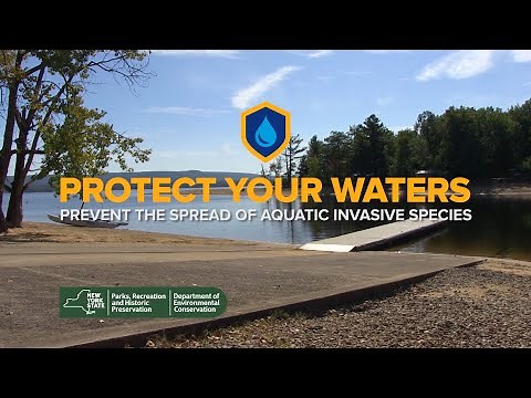 Prevent the Spread of Aquatic Invasive Species