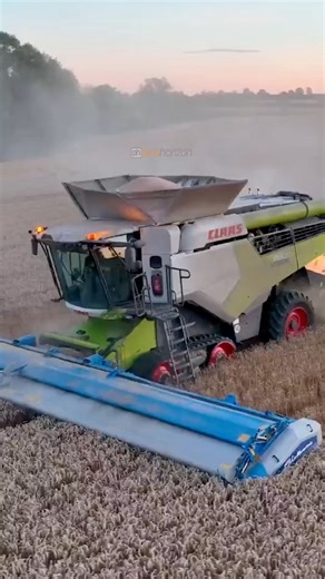 Andrew in the CLAAS Lexion 8800 combine harvester with Shelbourne Reynolds stripper header harvesting wheat | Pro Horizon Farming Content