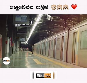 watch till the end 🙊🙈♥️ | 4K - Memehub