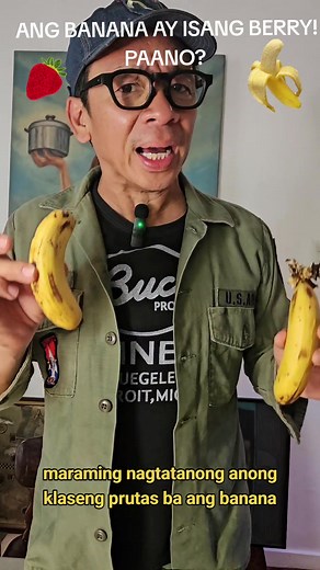 Is a Banana a Berry and a Fruit? Explained