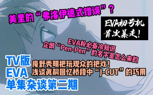 【EVA超详细分解】弗洛伊德式错误？人物细节的极致塑造，告诉你为什么EVA是神！TV版EVA单集杂谈第二期