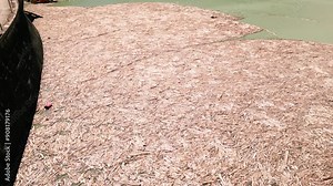Aerial view of massive log jam. Accumulated driftwood, floating wood debris cover water surface. Industrial setting near dam. Environmental impact, waterway blocked. Large scale natural phenomenon.