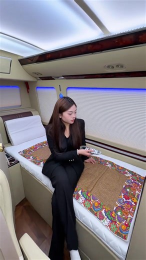 Toyota Coaster Luxury Minibus Overview