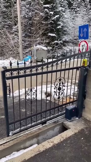 Montaža,programiranje i puštanje u rad BFT motora za kliznu kapiju✅ #electronic #bft