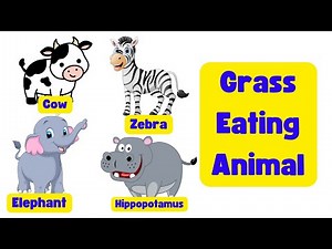 Grass Eating Animal | Let's Learn Together