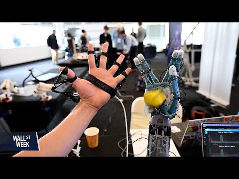 Everyone Says AI Will Change Everything. What If They’re Wrong?