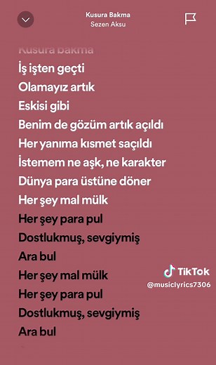 Sezen Aksu Kusura Bakma Full Song Lyrics & Meaning