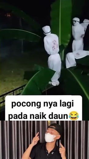 This is the risk of having a house near a banana tree🥹