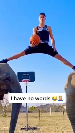 Amazing Basketball Trick Shot with Elephant