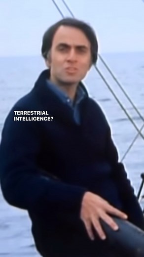 Do you ever stop to think about all of the undiscovered life that exists within planet Earth? 🌱🌎 Through PlantWave, we have access to frequencies invisible to the eye. Tune in to the frequency of nature with PlantWave. #plantwave #plantmusic #planetearth #outerspace #aliens #nature #life | PlantWave