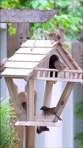 Make Your Own SIMPLE Bird Feeder For Backyard Wildlife #diy #crafts #birdlovers #shorts