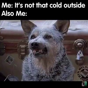 What are you doing to stay warm during this "Polar Vortex"? | Carbon Express Arrows