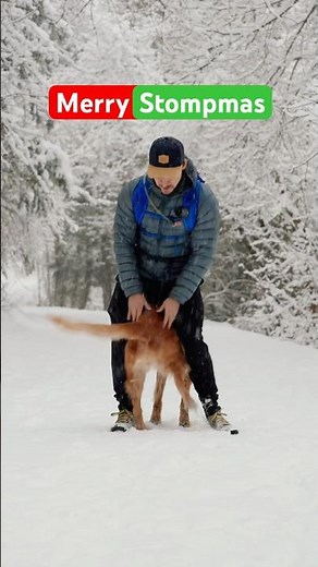 It’s the most wonderful time of the year 🎄