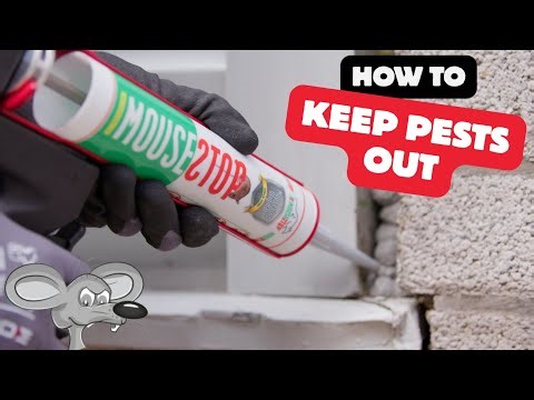 How to Keep Pests Out 🐀⛔️ | MouseStop Original ✅