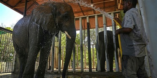 April continues 11th straight month of Earth's record-breaking warmth