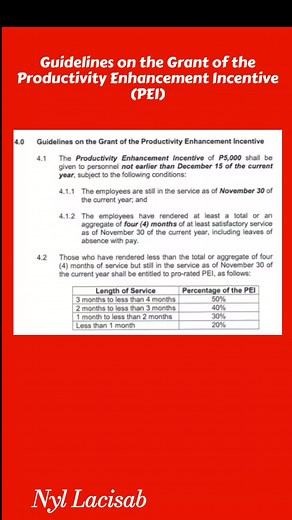 Guidelines on the Grant of the Productivity Enhancement Incentive (PEI) #highlightseveryone #highlights | Nyl Updates