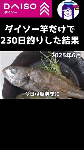 ダイソー竿だけで230日釣りしてみた結果...