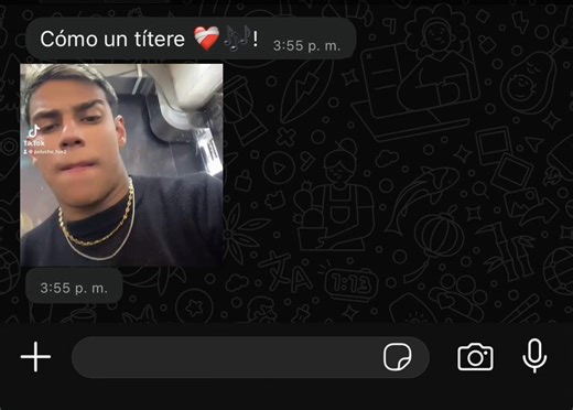 @peluche_fox  #salsabaul #parati #viral #comparte #tendencia