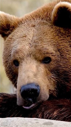 3 REVERSAL CHART PATTERNS Every Trader MUST Know!