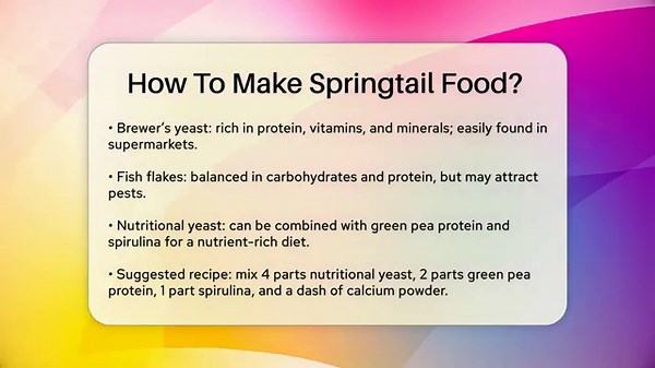 How To Make Springtail Food? - Reptilian Wonders