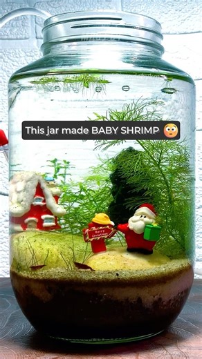 I Didn't Expect THIS from 2 Shrimp 😳🦐