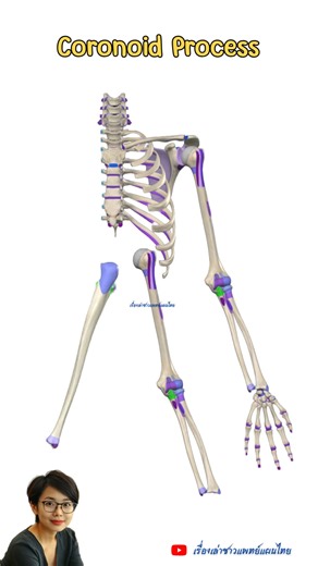 1.2K views · 55 reactions | Coronoid Process of Ulna #coronoidprocess #ulna #กระดูกอัลน่า #กระดูกปลายแขนด้านใน #anatomy #กายวิภาค #physiology #สรีรวิทยา | อโรคยา ปรมาลาภา | Facebook