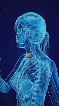 Endocrine System and Metabolism | #physiology #medicine #nursing