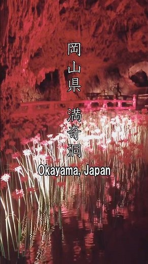 岡山県 満奇洞(まんきどう) #日本,#art,#癒し動画