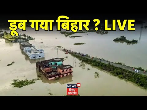 ✅Flood in Bihar LIVE : बिहार में बाढ़ से हाहाकार ? | Ganga River | Patna Flood | Bihar Weather News