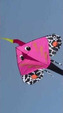 Relaxing Kites in the Sky