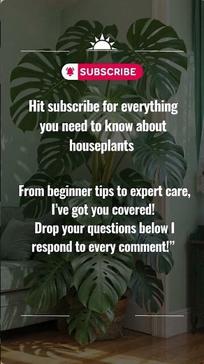 Learn Everything About Houseplants