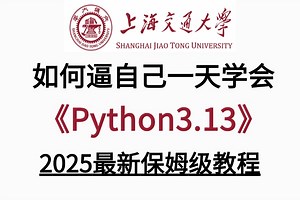 2025新版【Python3.13教程】全程干货，【基于3.13打造】从入门到精通与案例解析！自学Python教程｜零基础Python这一套就够了！