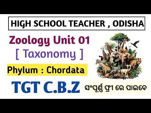 Class 03 💫 "Zoology Taxonomy Unit 01 - Phylum Chordata " 💫 OSSTET SSB TGT OAVS BIOLOGY