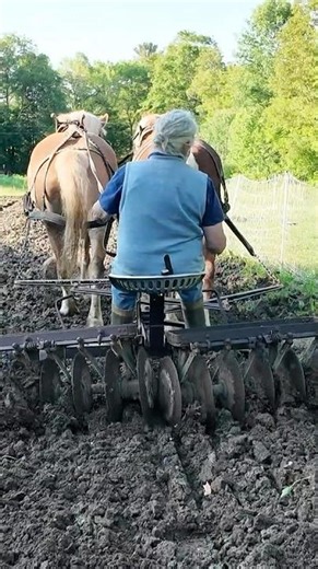 She Still Farms With Real Horsepower